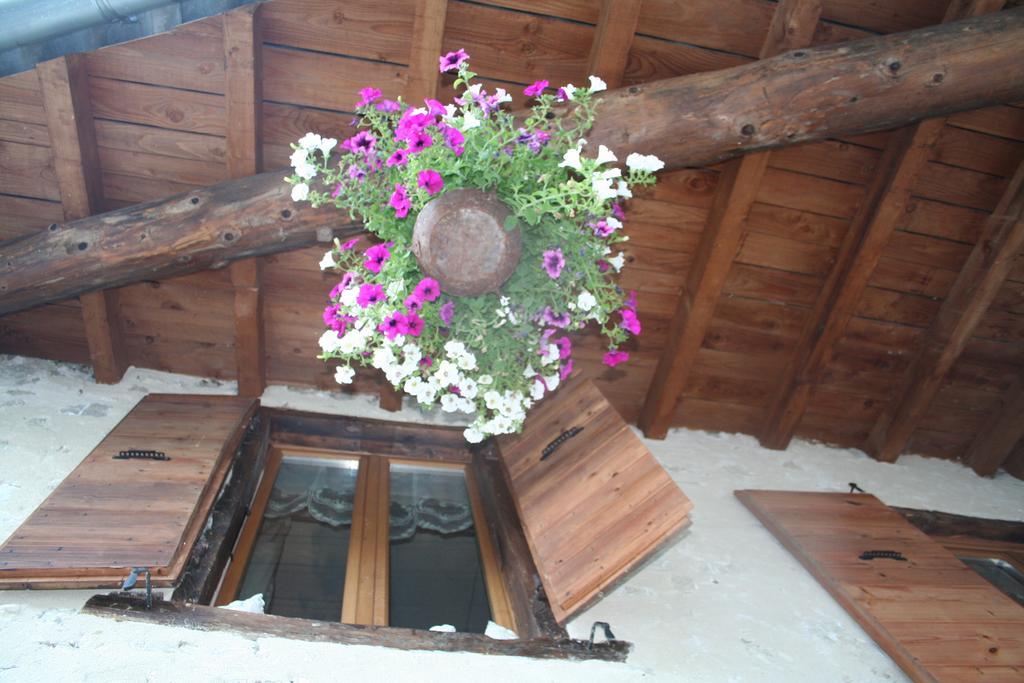 Chambre D'Hotes La Romarine Barnave Exterior foto