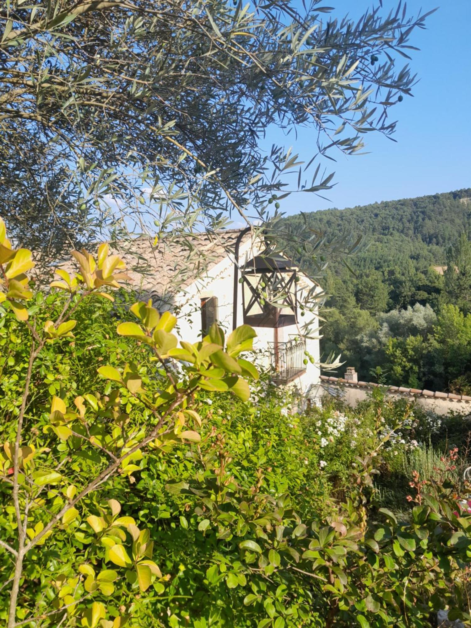 Chambre D'Hotes La Romarine Barnave Exterior foto